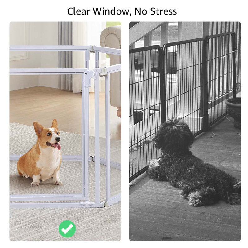 Parc pour chien transparent transparent, 6 panneaux, H 24 po x l 124,8 po x P 1,17 po