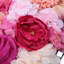 Panneau mural Floral Roses