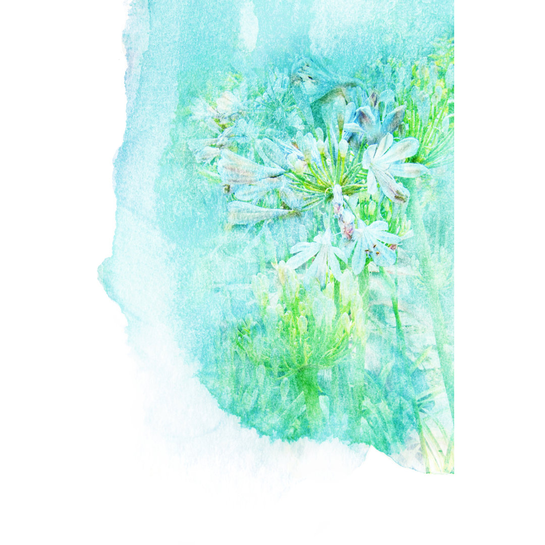 Blume Aquarell Illustration - Leinwandbild