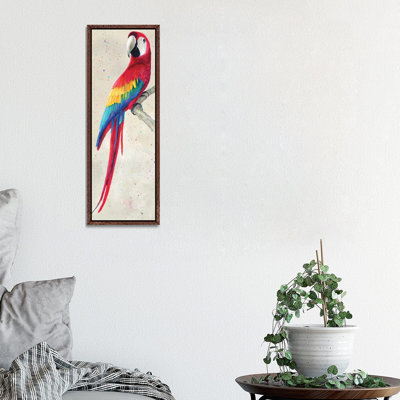 Parrot by Kim Haskins - Panoramic Print on Canvas