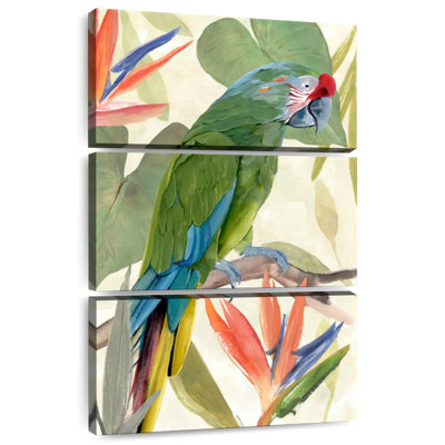 Brampt Tropical Parrot Composition I