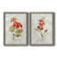 Lin géranium - ensemble de 2 reproductions d'art-1254695854-1254695853-1254695844