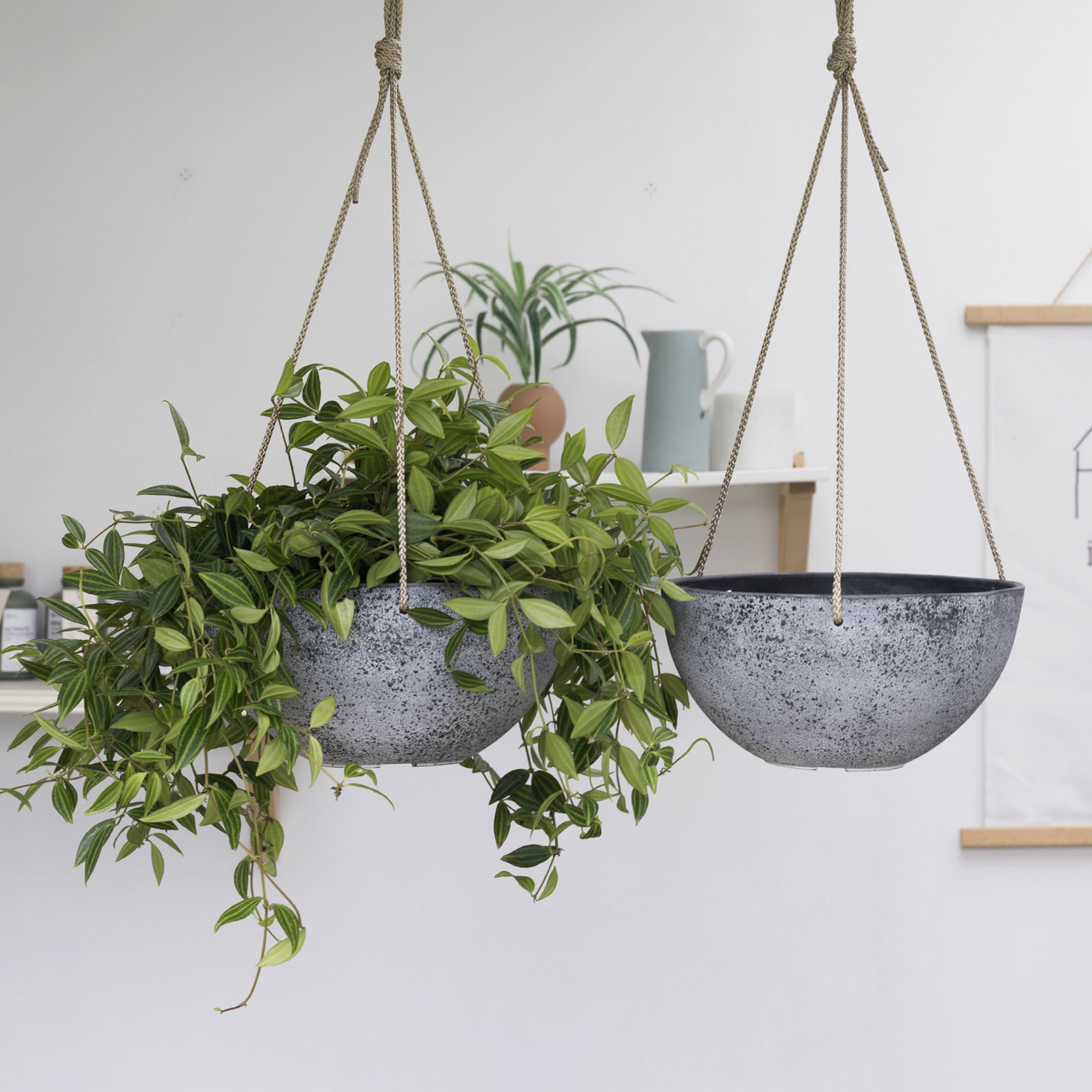 Boxdale Hanging Planter - Set of 2, Rock Gray, 6.3" H x 13.2" W x 13.2" D