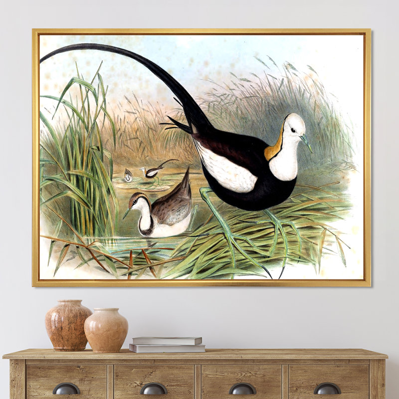 Rétro animaux de campagne VII - peinture sur toile, H 30 po x l 40 po x 1,5 po, Cadre flottant doré
