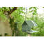 Picoti Bird Feeder-2123727504