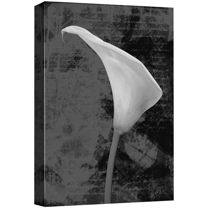 Flower Blossom " Black And White Calla Lily And Cursive ", 48'' H x 32'' W