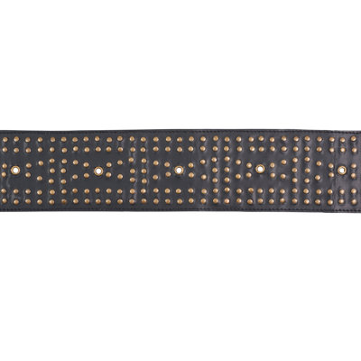 Studded Leather Trim