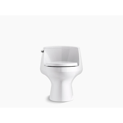 San Raphael 1.28 GPF Water Efficient Elongated One-Piece toilet (Seat Included)