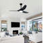 Ventilateurs de plafond modernes d'inspiration hélice avec lumières avec moteur à courant continu réversible silencieux et télécommande, noir mat-130156593