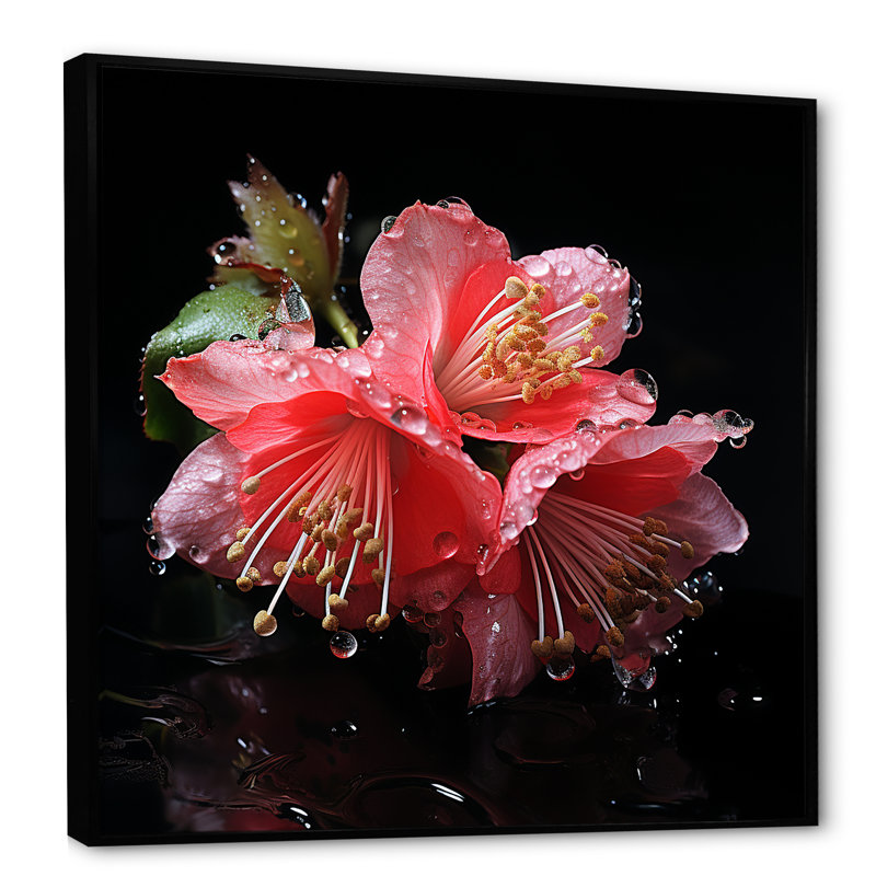 Fuchsia rose et noire - art mural fuchsia, Cadre flottant noir, 36" H x 36" W