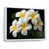 Cadre flottant blanc