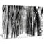Paysage, forêt enneigée, photographie sur toile en noir et blanc - Forêt enneigée-19240604