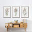 "Dicat Botanical I", reproduction sur toile 3 pièces-91890848-91890855