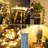 Berenize 16.4ft String Lights for Holiday