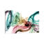 «Invisible World IV», impression sur toile-32594852-71536701
