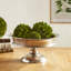 Plateau de table basse Javonne-61168408
