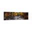 Stream With Trees In A Forest In Autumn, Nova Scotia, Canada by Panoramic Images - Wrapped Canvas Panoramic Print-398735865