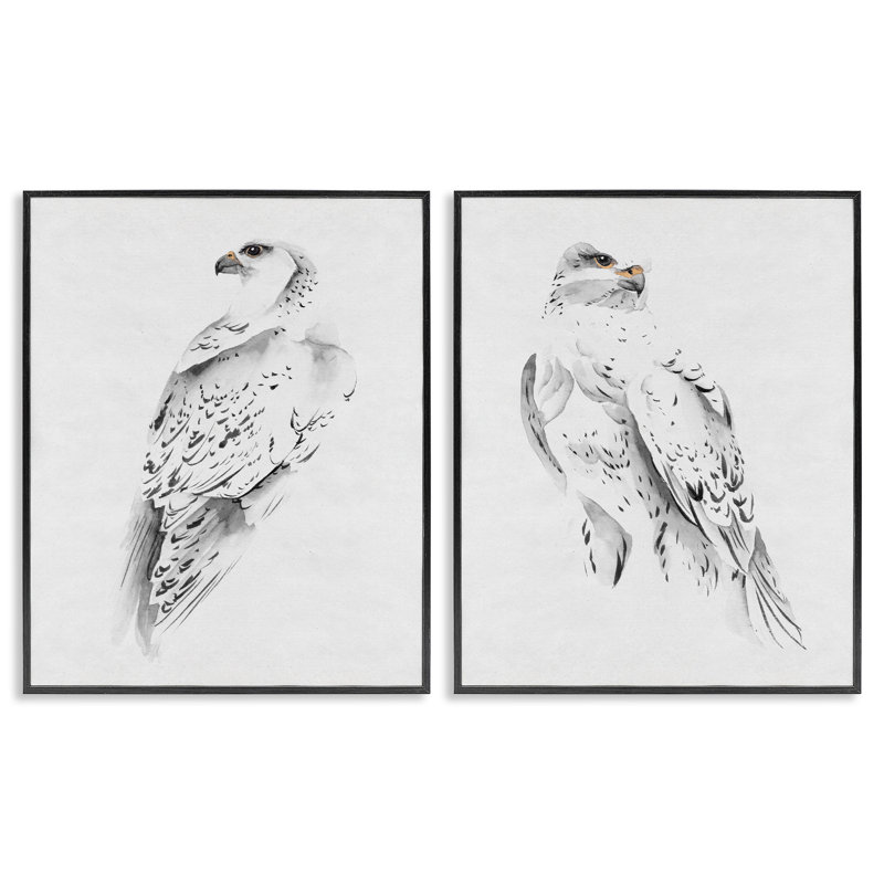 White Hawk Winter Birds Soft Speckled Feathers, H 20 po x l 16 po, Giclée encadrée noir minuit