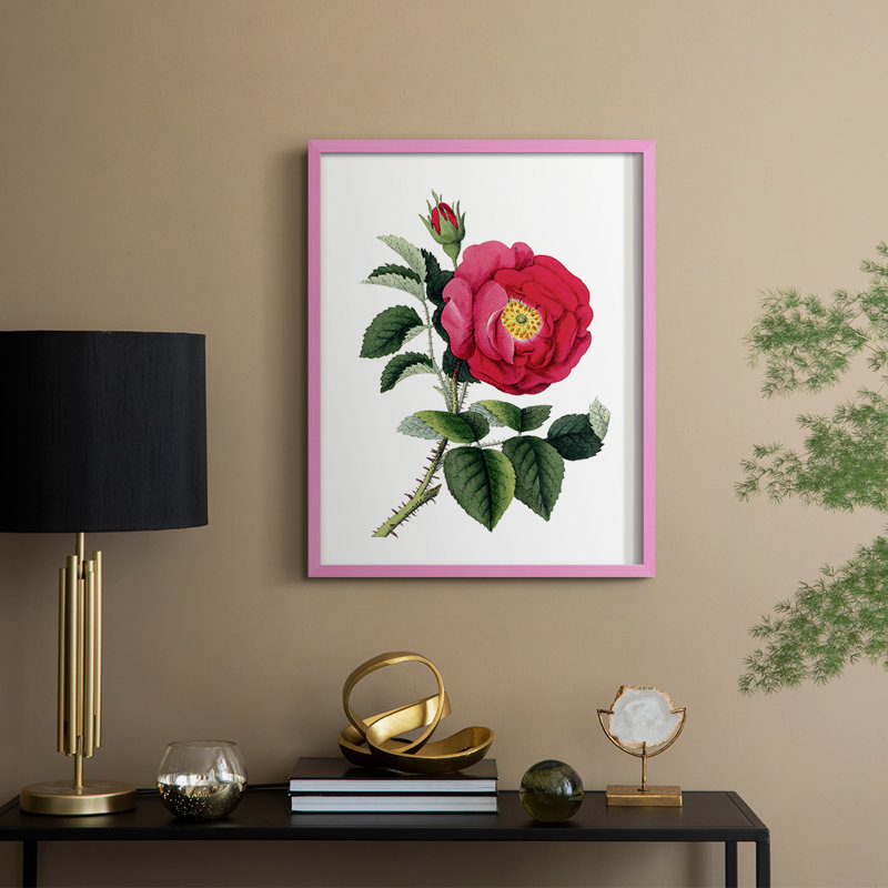 Botanical Beauty I Framed Print - Solid Wood, 11" H x 9" W, Pink