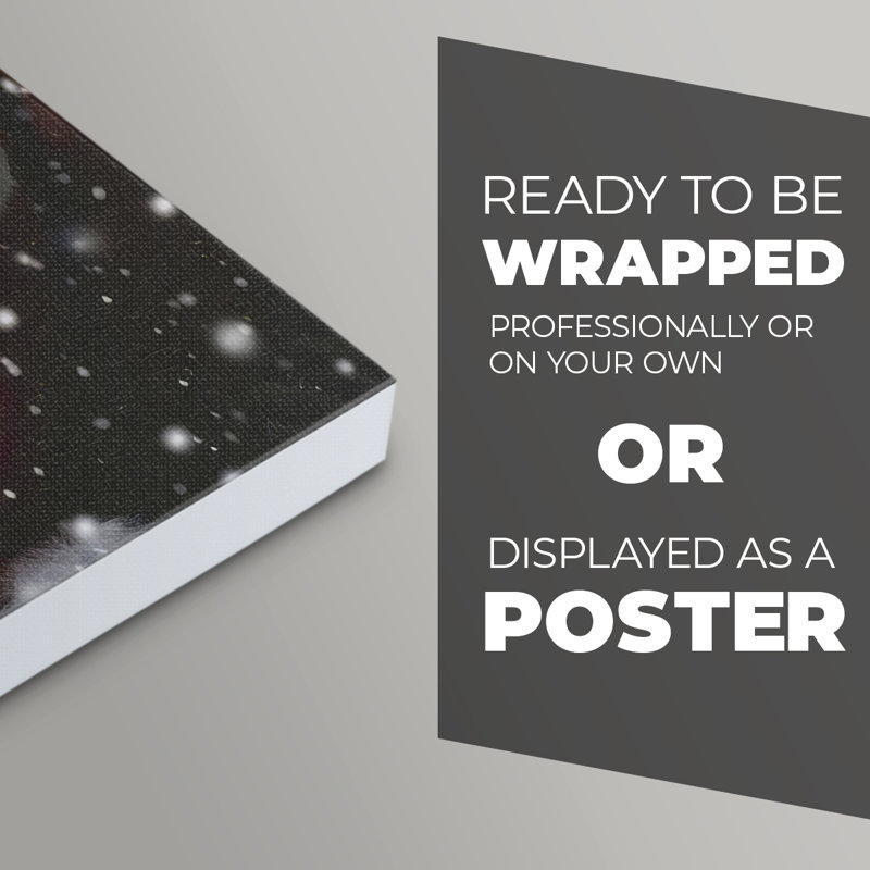 Santa Paws I - Impression sur toile seulement - NON-CADRE, H 18 po x l 12 po