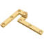 Butt Bearing Hinge-68473499
