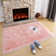 Halle-Mia Shag Fluffy Faux Sheepskin Area Rug in Pink