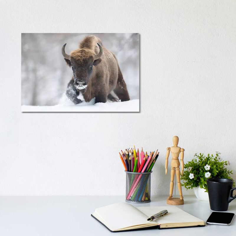Rewilded by Sebastian Mastahac - Print on Canvas, 20.32cm H x 30.48cm W x 1.91cm D, Wrapped Canvas