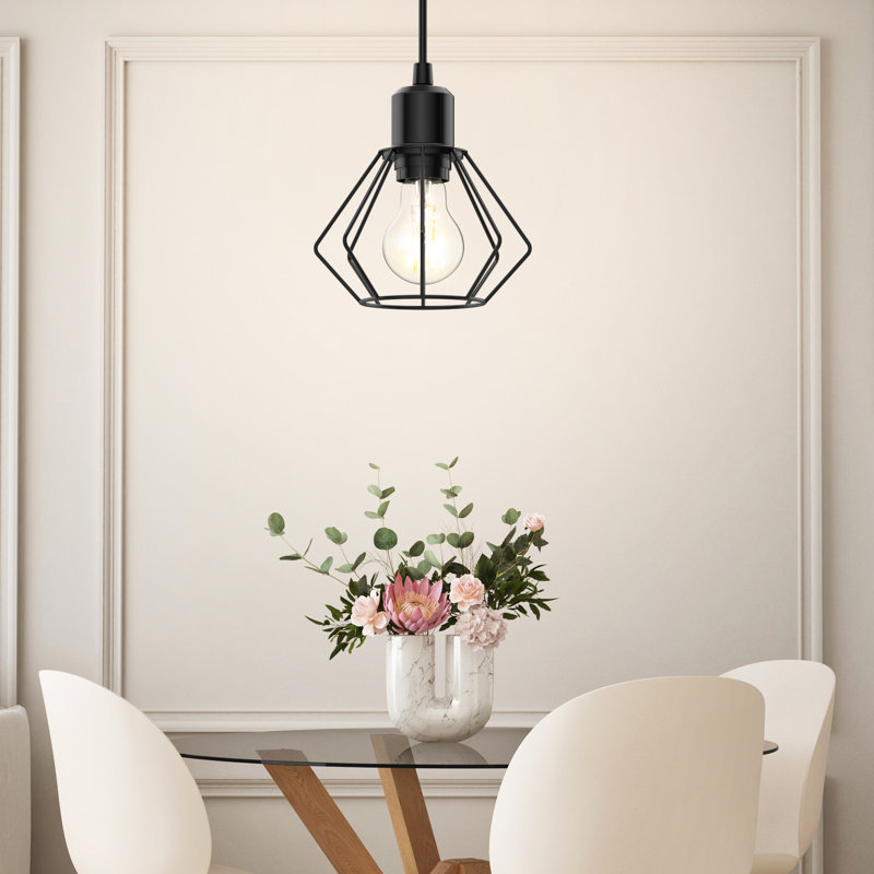 Luminaire suspendu simple noir à 1 lumière Raquael