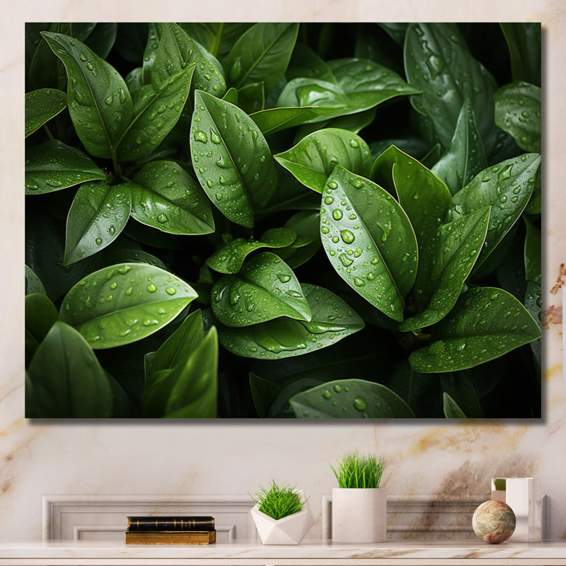 " Green Plants Field ", Wrapped Canvas, 30" H x 40" W