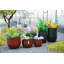 Pots de fleurs en céramique de haute qualité-479109622