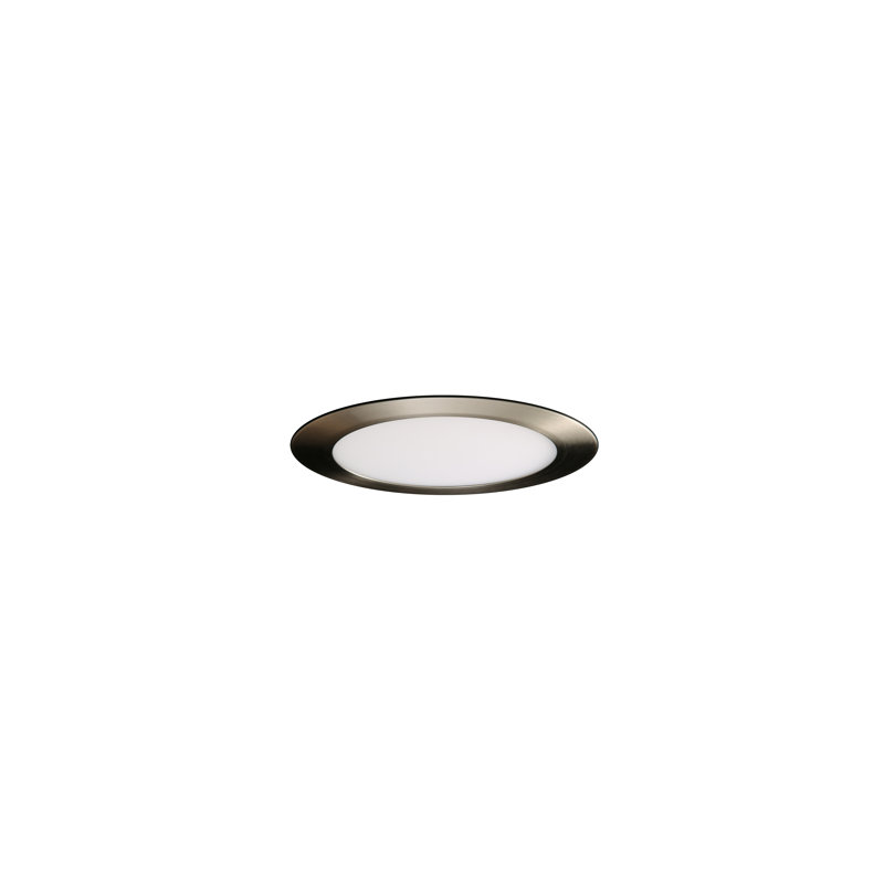 Aguanga Acrylic LED Flush Mount, Nickel, 4"
