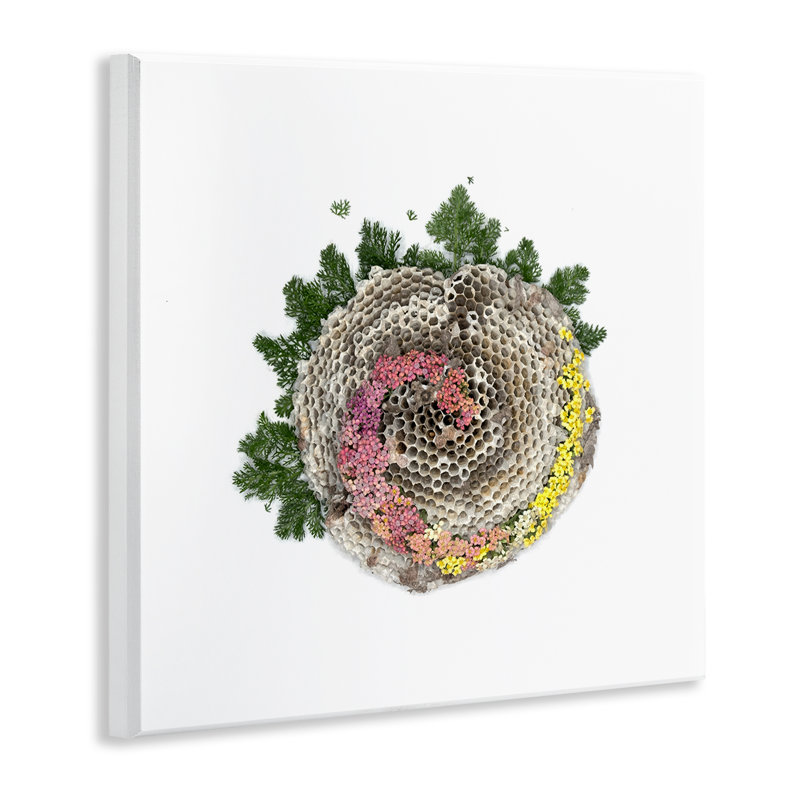 Plaque murale en nid d'abeille avec botanique, design par Beth Adoette