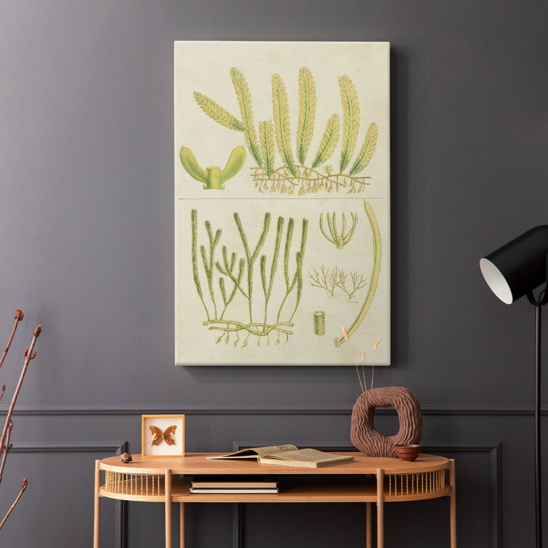 Herbe de mer rétro V - galerie Cavas enveloppé, H 12 po x l 8 po