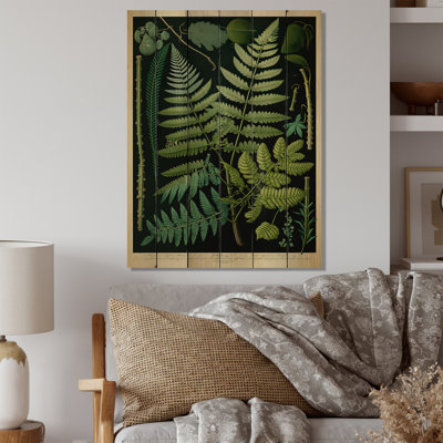Fern On Retro Victorian Chart I - Floral Ferns Wall Art
