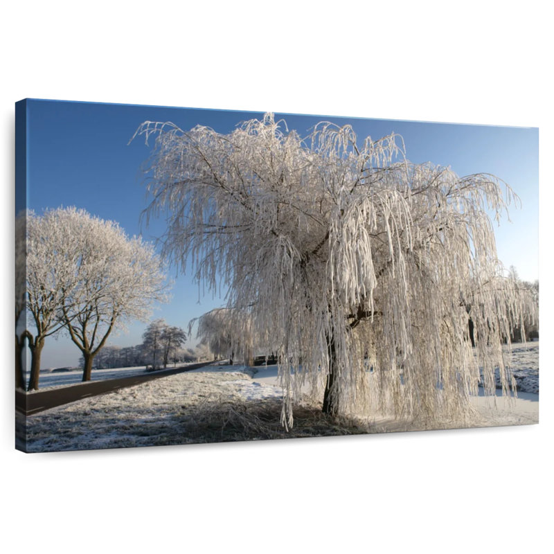 Harnek Frozen Willow Tree, 34" H x 51" W
