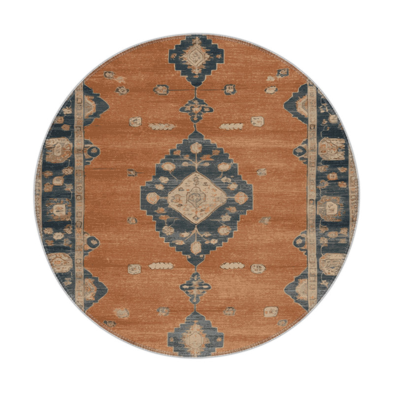 Tapis intérieur et extérieur brun Overdyed, Rond 5 pi
