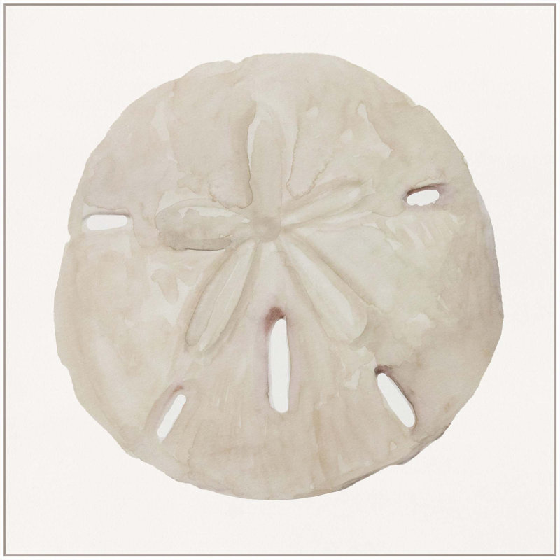 Sea Shell 8 Print, White Floater Framed, 51" H x 51" W