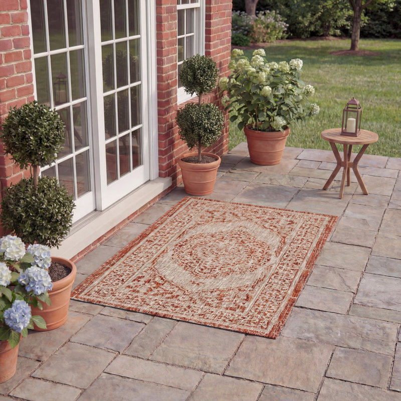 Amedee Performance Oriental Indoor/Outdoor Area Rug, Rectangle 2' x 3'7"