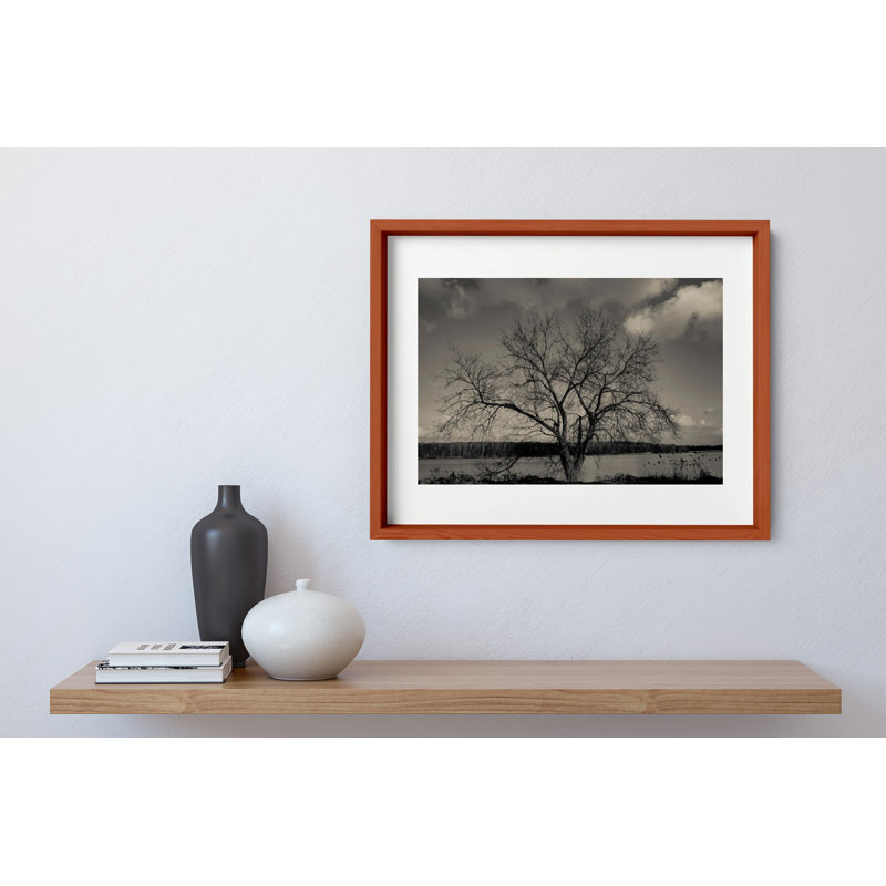 Baum Im Winter Print by Joseph Regan, 14" H x 16" W x 0.75" D, Cherry