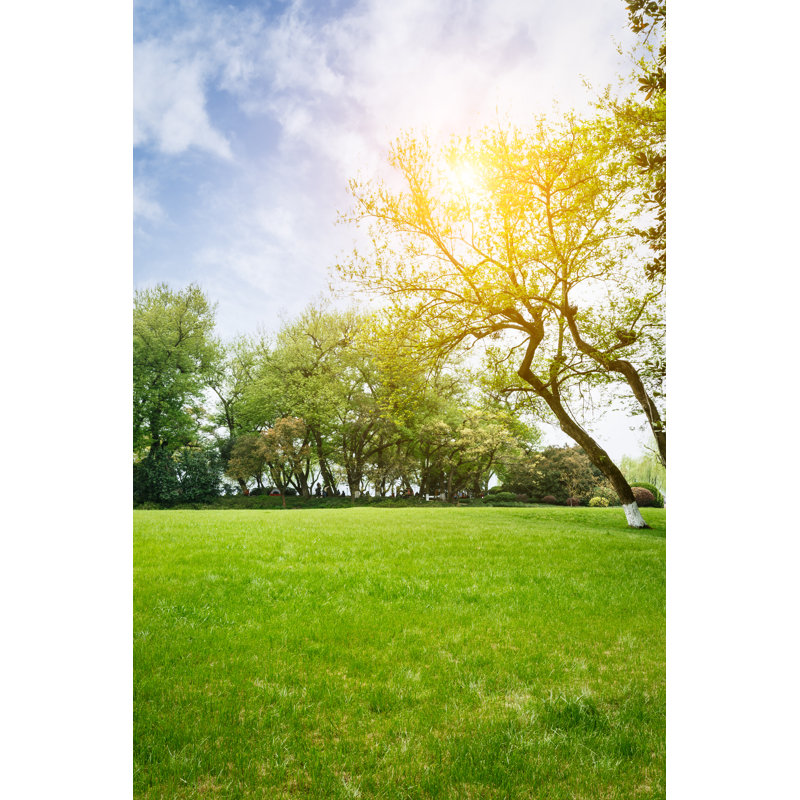 The Beautiful Green Lawn In The Spring Park - Wrapped Canvas Print, 122Cm H x 81Cm W