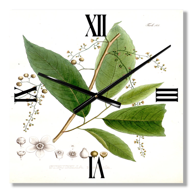 Plante brésilienne rétro I - horloge murale traditionnelle, Très grand
