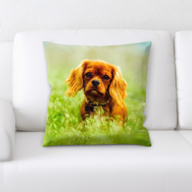 Aiden Microsuede Reversible Throw Pillow