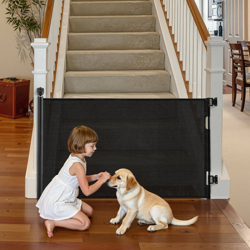 Barrière pour chien rétractable, Noir, H 41,1 po x l 61 po x P 2,4 po