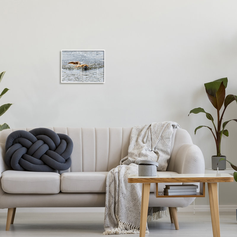Ba-366 - Chien encadré nageant dans l'océan, H 11 po x l 14 po x P 1,5 po, Giclée encadrée blanc bord de mer