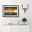 Flying Birds over a Lone Tree - Picture Frame Graphic Art Print-56713177-56713174