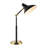 Motilal Metal USB Desk Lamp