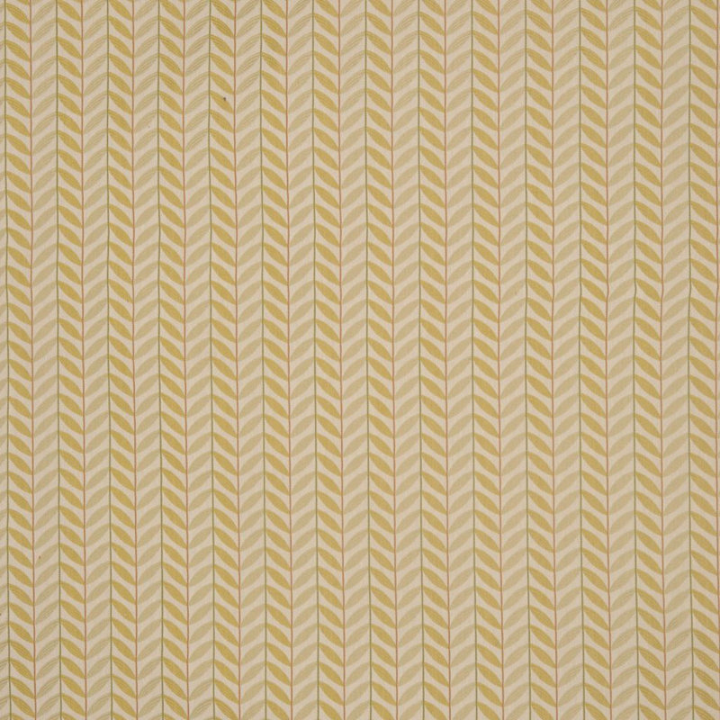 Allure Fabric