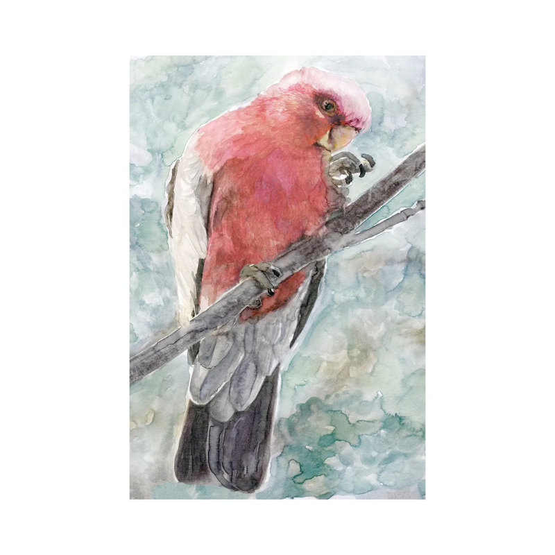 Tropic Parrot I by Stellar Design Studio - Wrapped Canvas Gallery-Wrapped Canvas Giclée, 30.48 cm H x 20.32 cm W