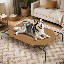 Lit pour chien surélevé avec coussins Cooler-2109079863-2109079867