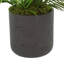 UV Rated Outdoor Palm in Fiberstone Pot